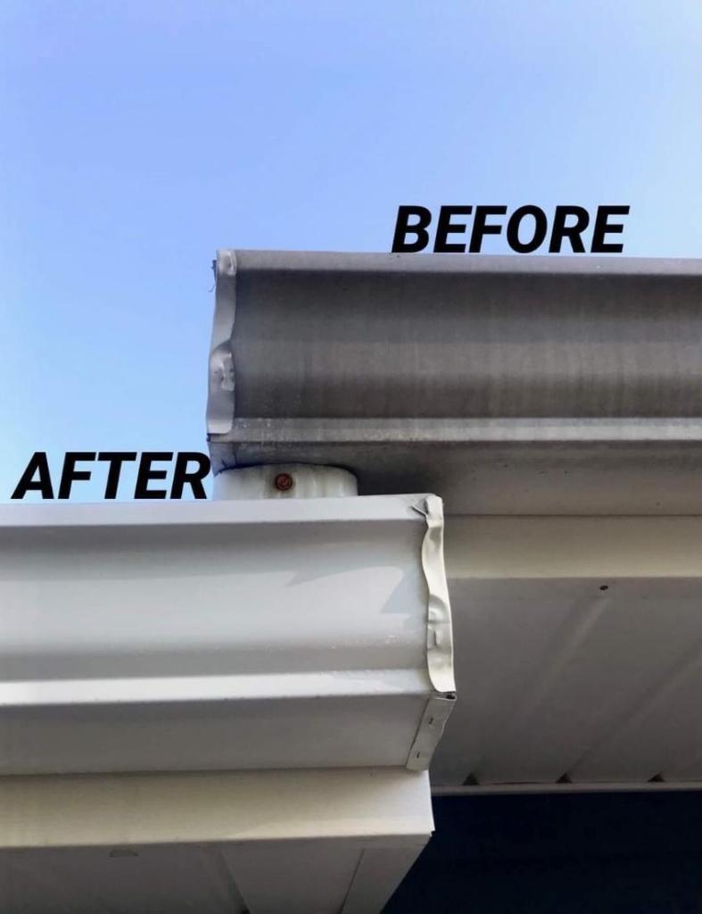 Capital City Softwash technician on a residential wash