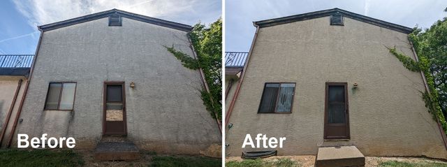 Stucco wall cleaned of organic staining
